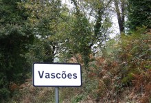 A origem dos Vasconços