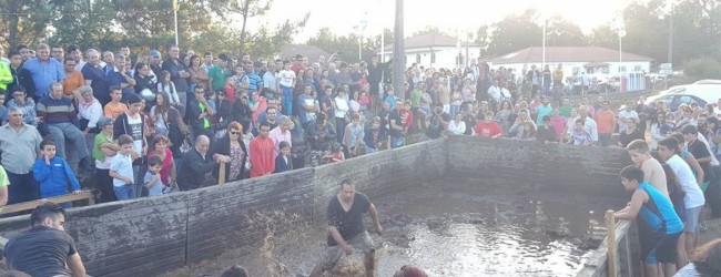 Festa de s. roque lucra mais de mil euros