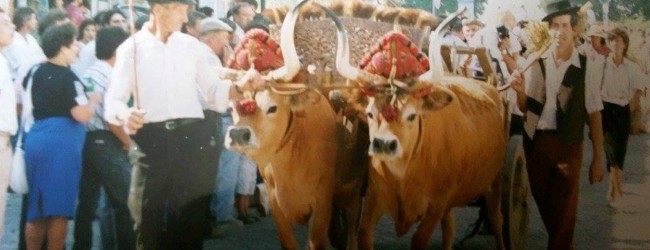 A alma do século passado