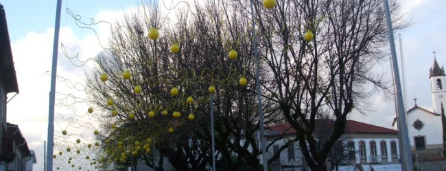 Período festivo em paredes de coura