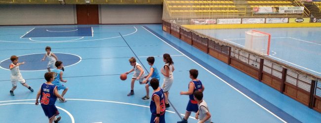 JOGOS EM VALENÇA E PONTE DE LIMA: MINIBASQUETEBOL COURENSE ENCESTA COMO GENTE GRANDE