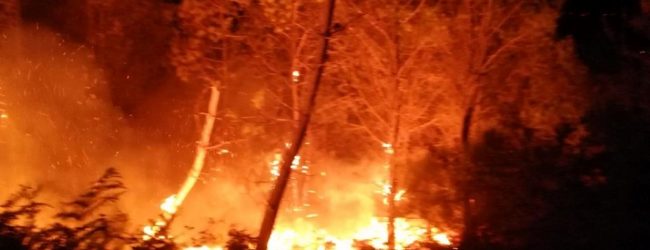 PROLONGAMENTO DO DISPOSITIVO DE COMBATE A INCÊNDIOS